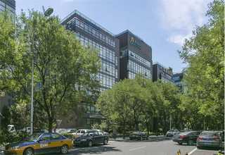 重庆正规的新西兰辐射松木材供应